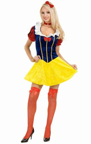 Sexy Snow White Adult Costume (Size Small)